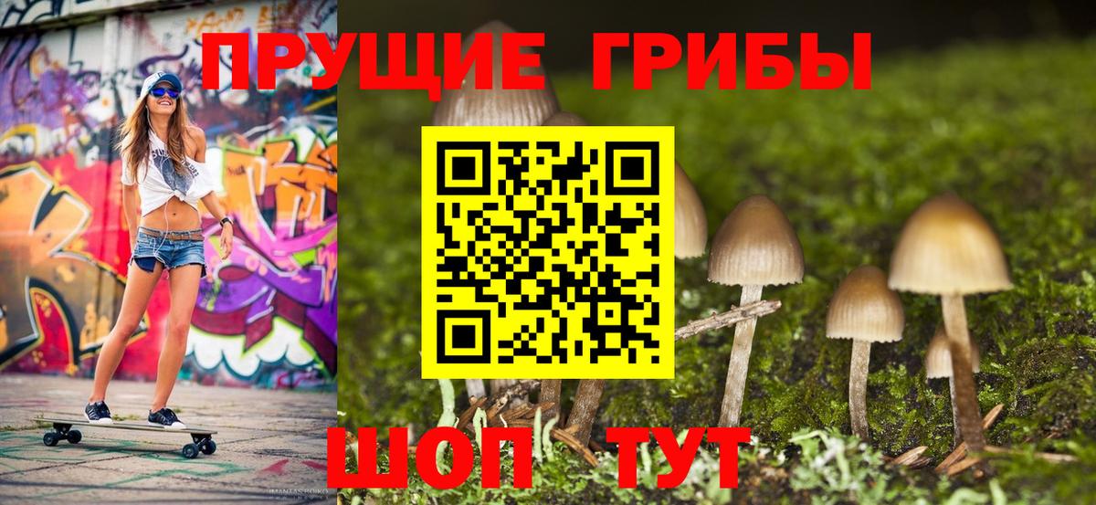 Псилоцибиновые грибы прущие грибы Белорецк