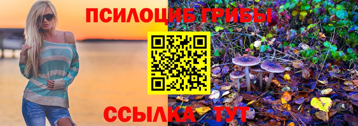 Белорецк  Галлюциногенные грибы GOLDEN TEACHER  Вход с VPN 